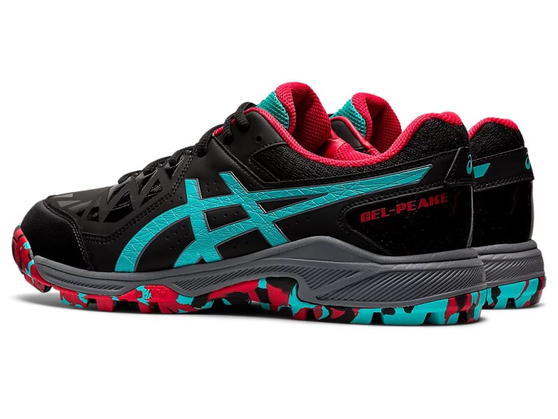 Asics Cricket Shoes