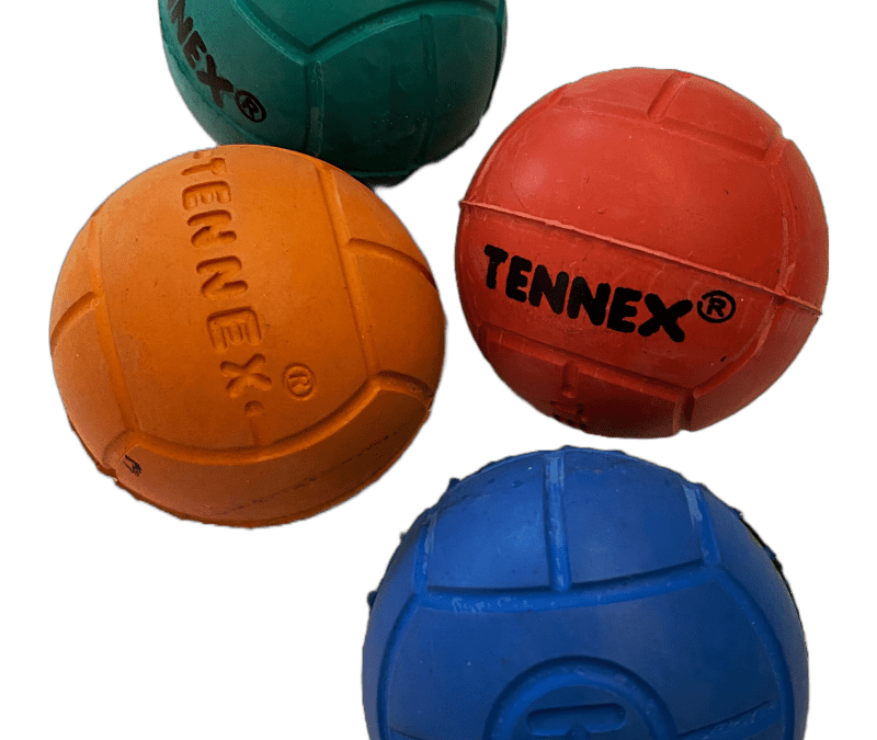 Ball Cricket
