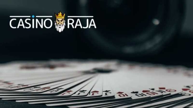 Best Online Casino Software Providers India