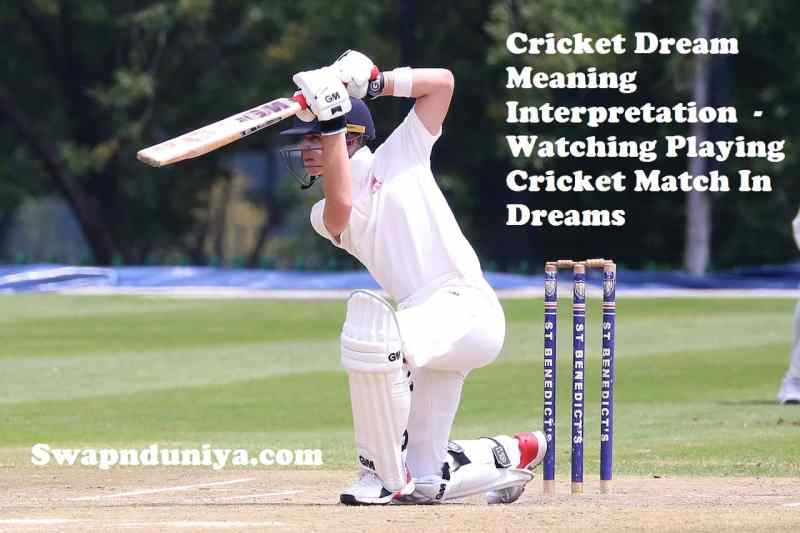 Bet In Play Cricket