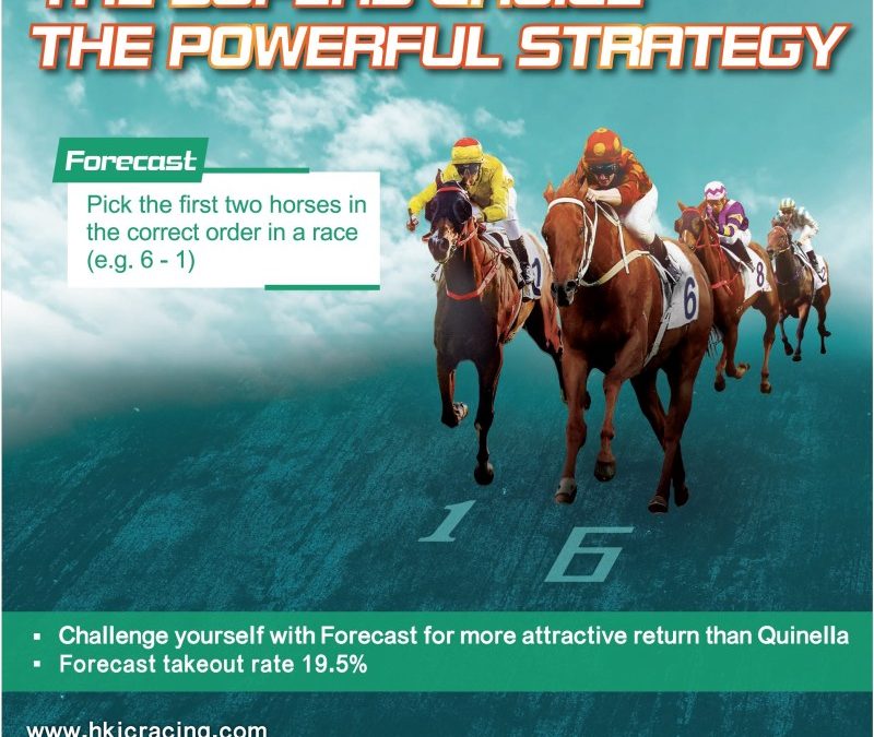 Bet On Horse Races At Racebets – Your Ticket To Big Wins!