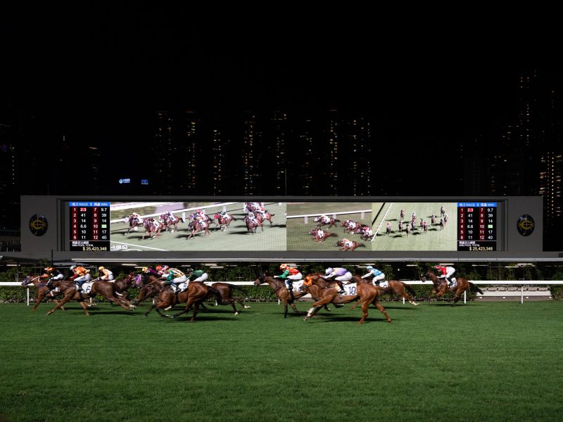 Bet On Horse Racing And Get Great Casino Bonuses With Racebets India