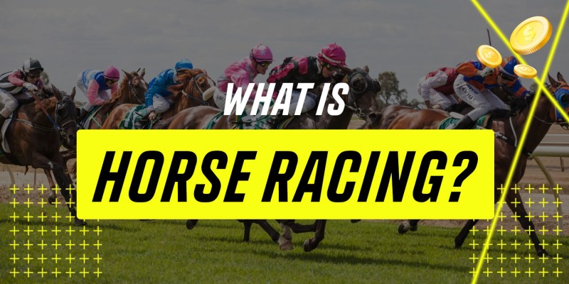 Bet On Horse Racing With Racebets India And Win Big