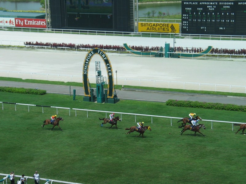 Bet On Indian Horse Racing And Get Casino Bonuses With Racebets India