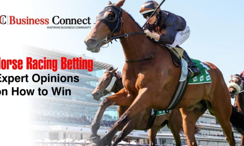 Bet On Indian Horse Racing And Get Exclusive Rewards With Racebets