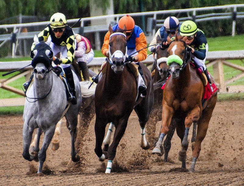 Bet On Indian Horse Racing And Get Great Prizes With Racebets India
