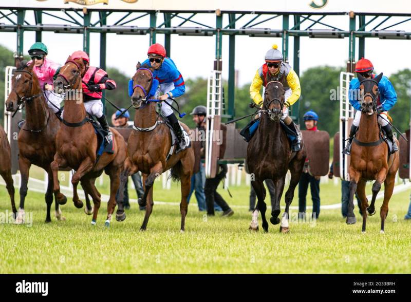 Bet On Indian Horse Racing With Racebets And Win Big
