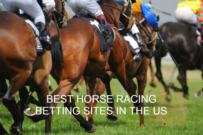 Bet On Your Favourite Horses And Races At Racebets – Join Now!