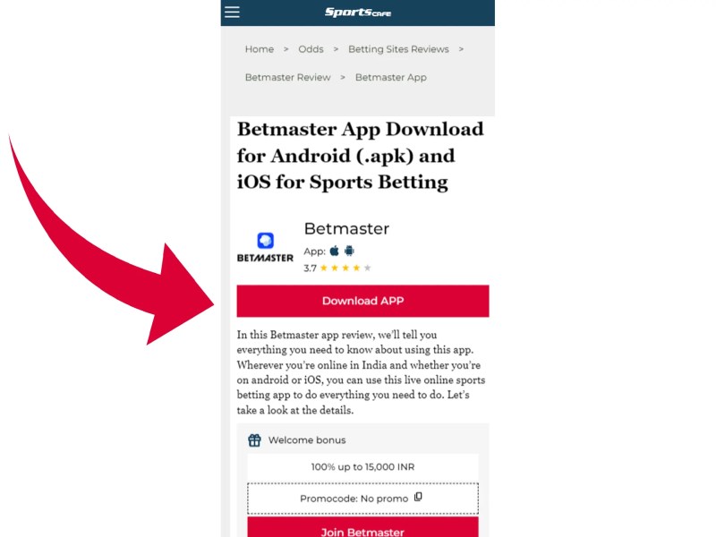 Betmaster Cricket