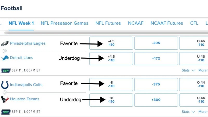 Betting On Underdog Teams In Cricket: Is It Worth The Risk?