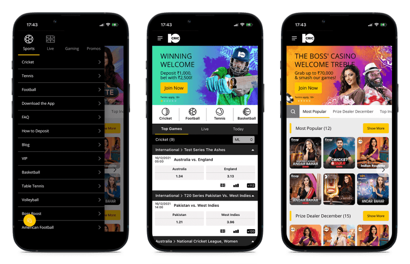 Betting Website Cricket