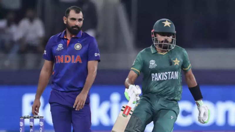 Cricket 19 Torrent