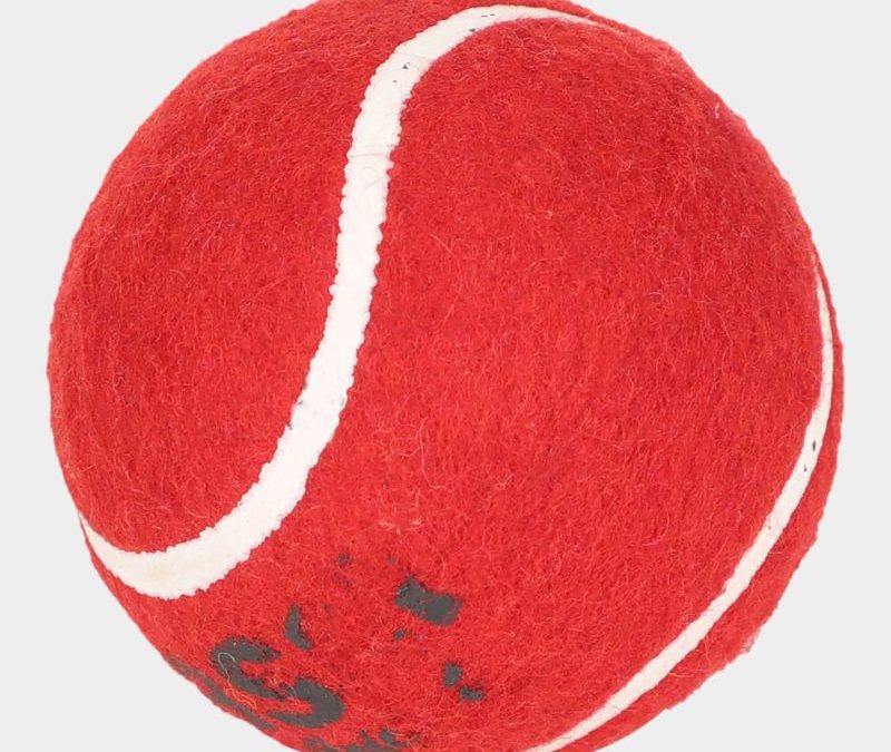 Cricket Ball Weight In Kg