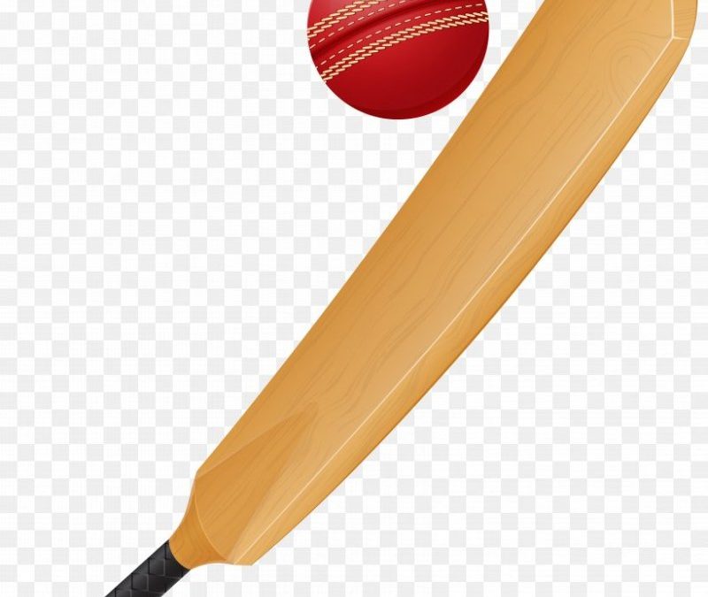 Cricket Bat Png