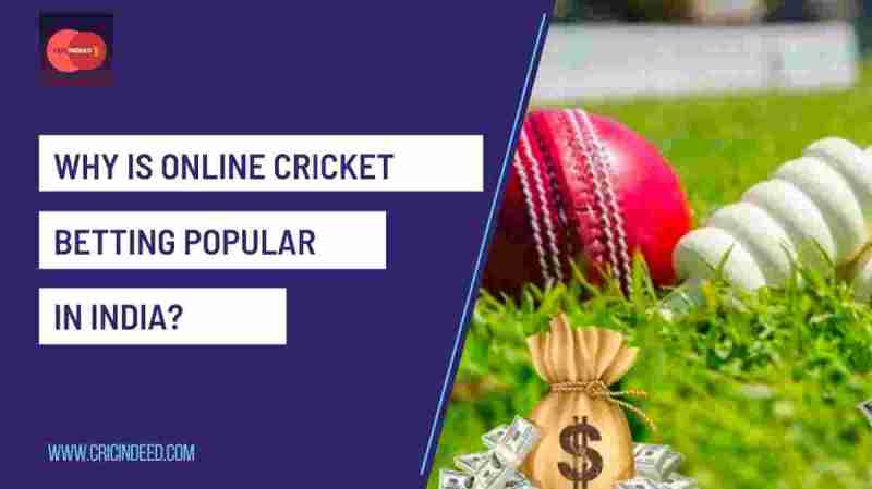 Cricket Bet