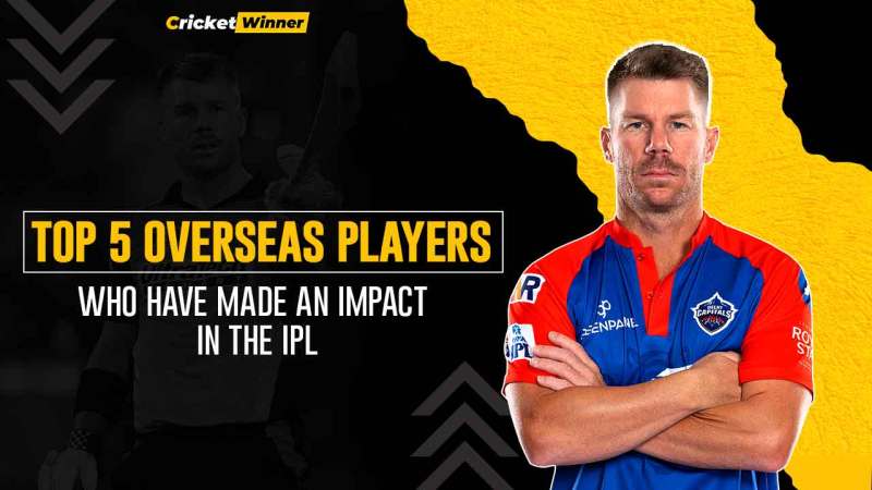 Cricket Expert