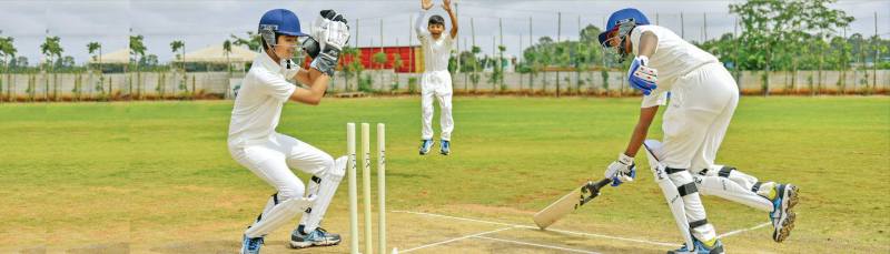 Cricket Fielding Positions
