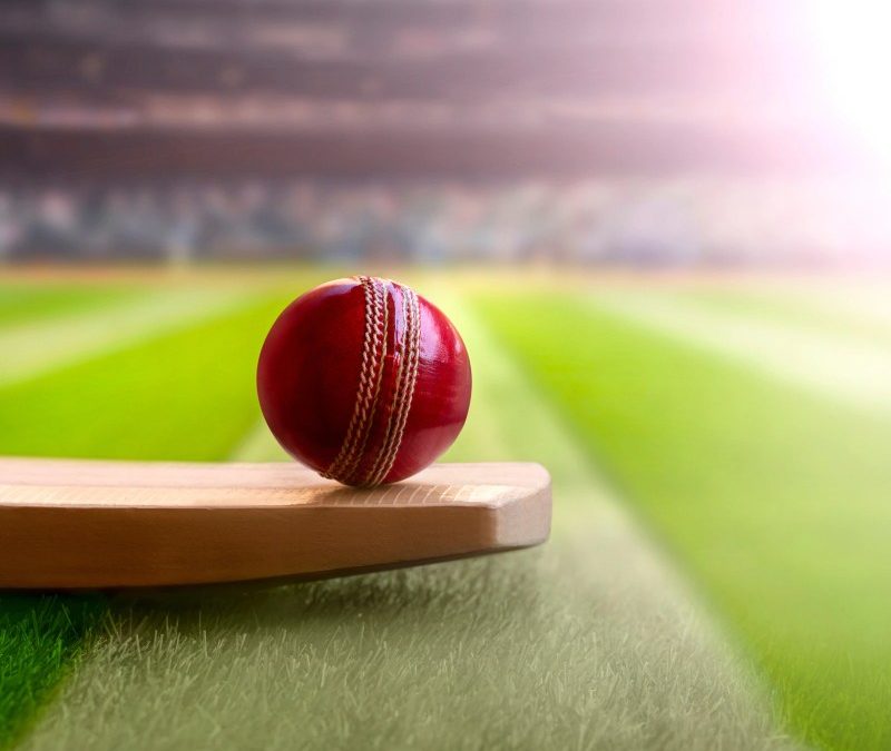 Cricket Game