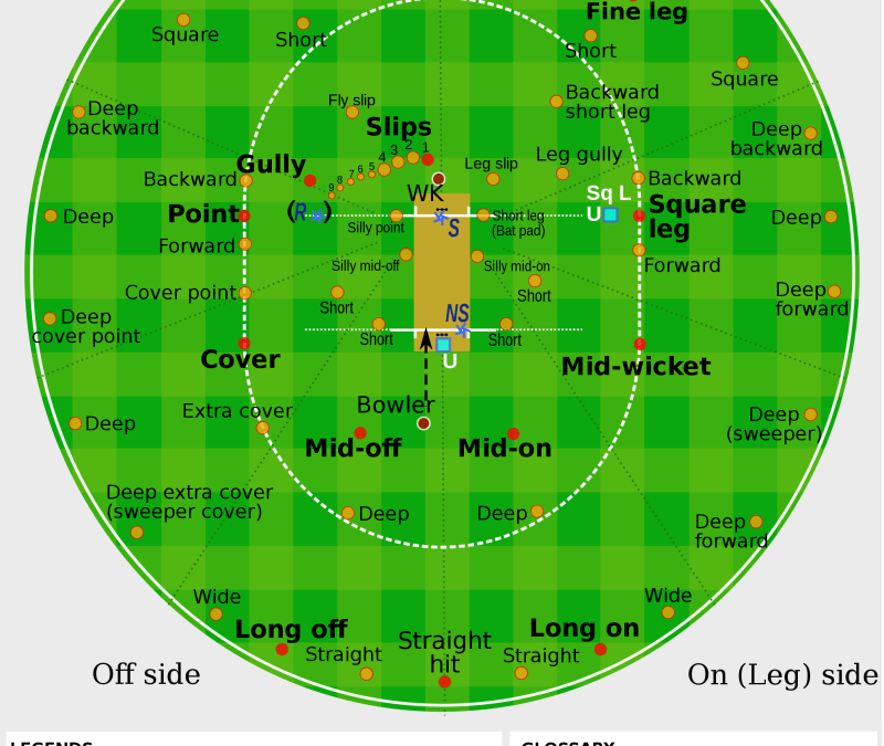 Cricket Ground Positions