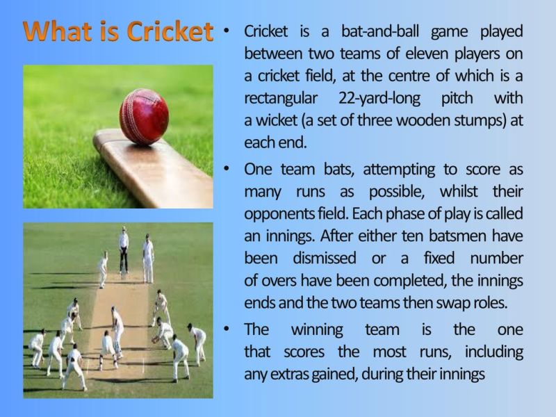 Cricket Information