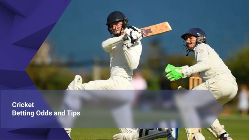 Cricket Rates Online