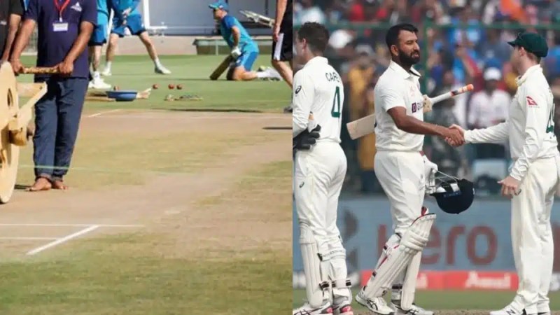 Cricket Rates
