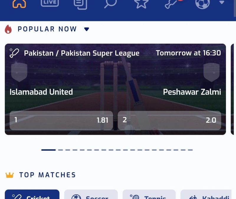 Cricket Satta Pure Win