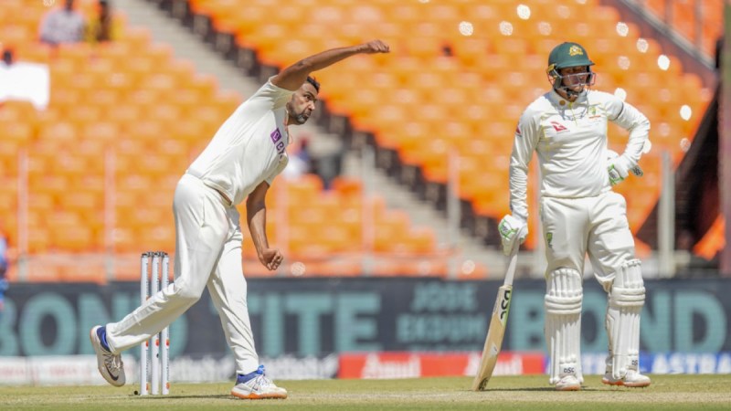 Cricket Wicket