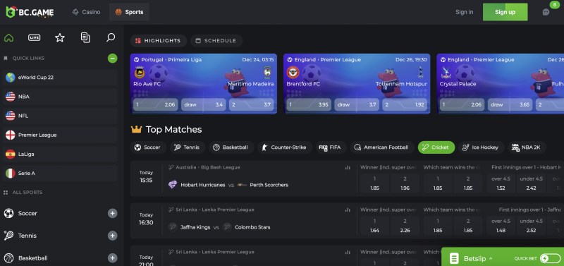 Crypto Cricket Bet Online