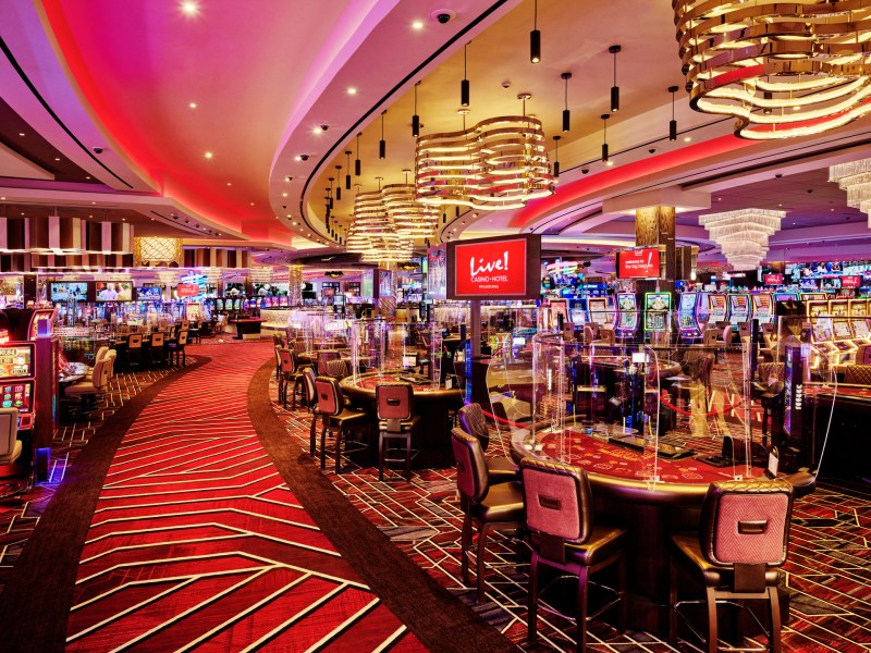 Download Live Casino App