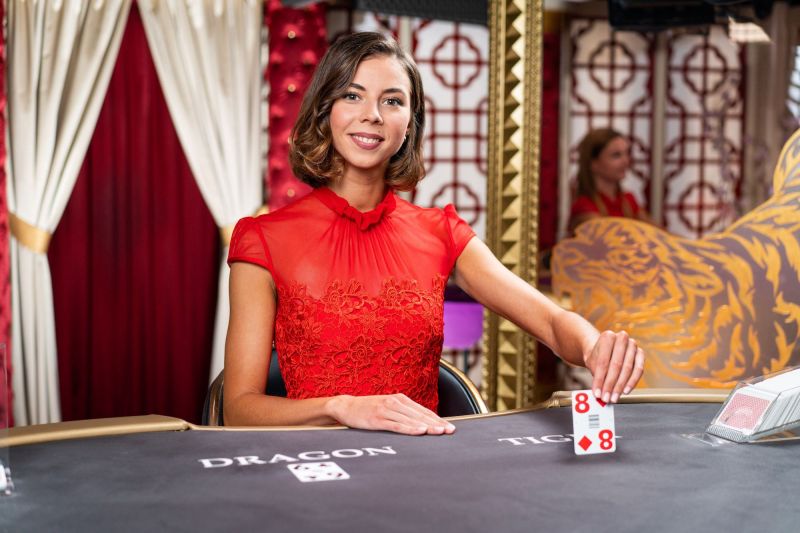 Dragon Tiger Card Counting