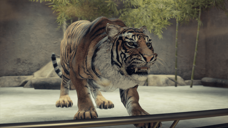 Dragon Tiger Live Casino