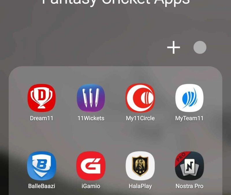 Earn Money In Cricket