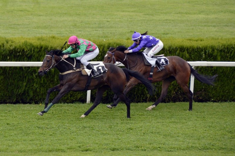 Enjoy The Best Horse Racing Experience At Racebets!