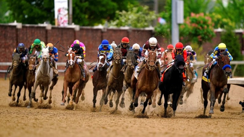 Experience The Excitement Of Horse Racing Betting With Racebets India