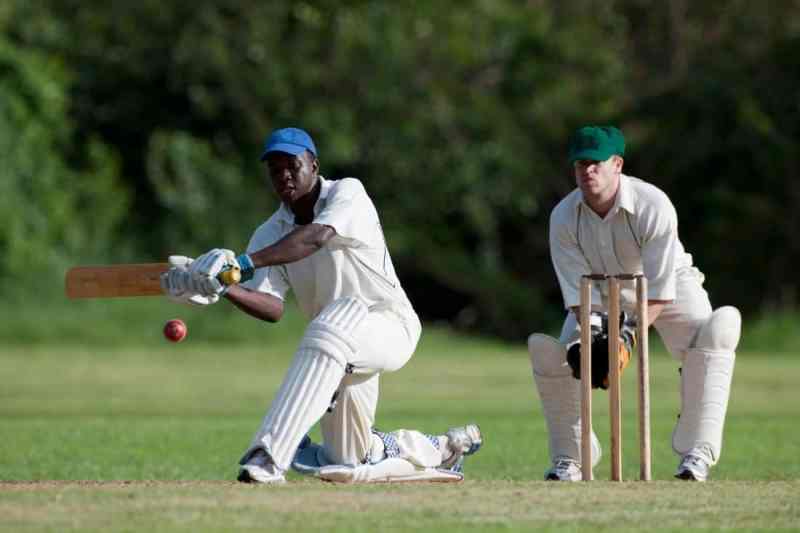 Facts About Cricket