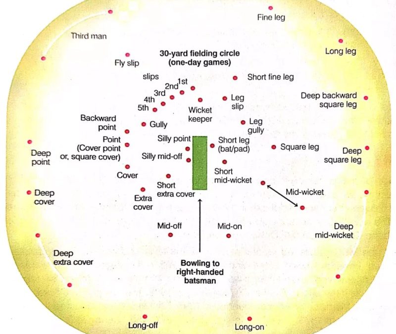 Field Position In Cricket