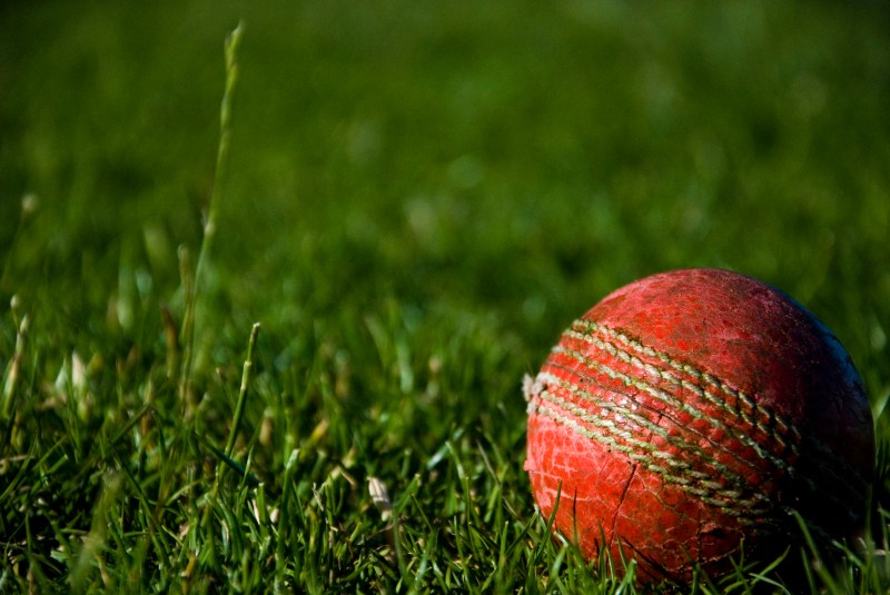 Gambling Cricket
