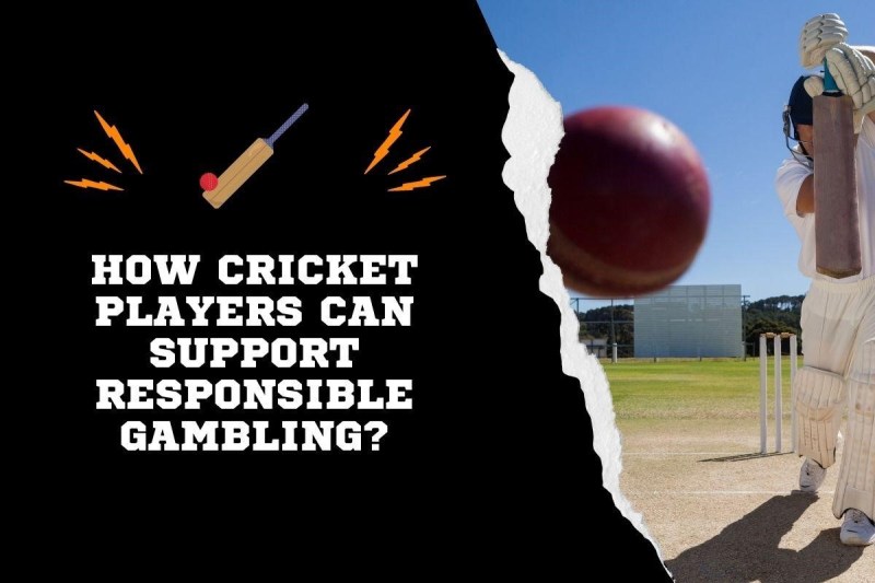 Gambling On Cricket