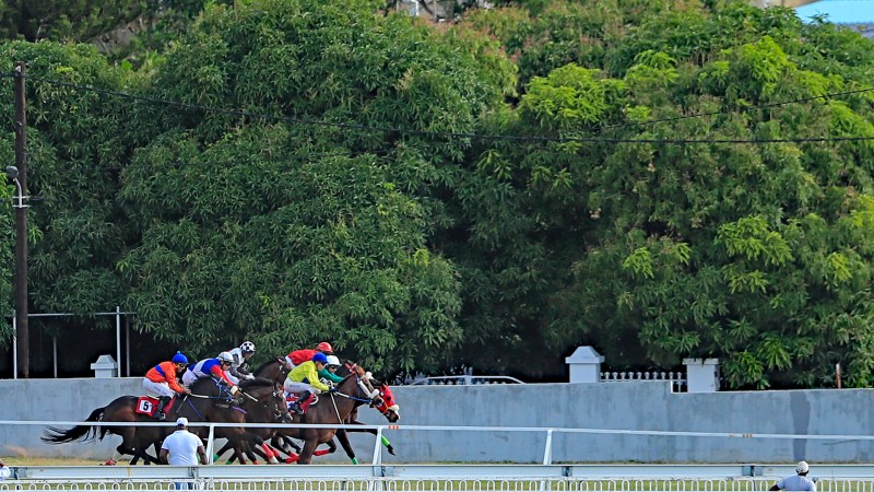 Get Access To The Best Horse Racing Betting Markets At Racebets!