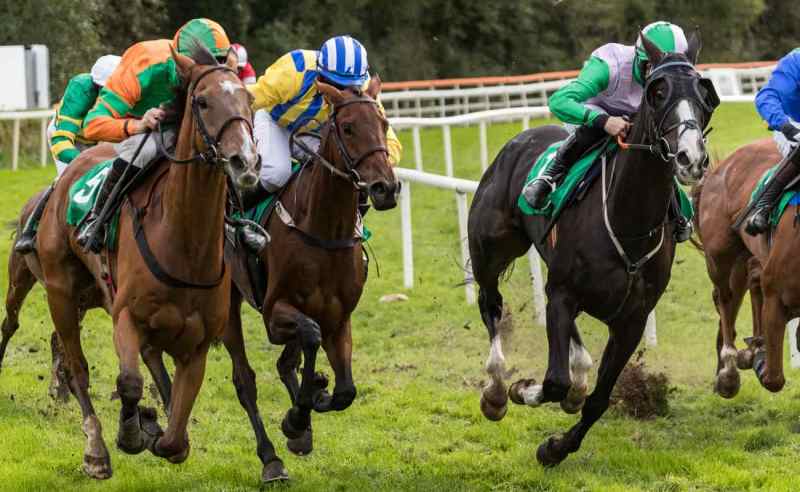 Get The Best Horse Racing Odds At Racebets India