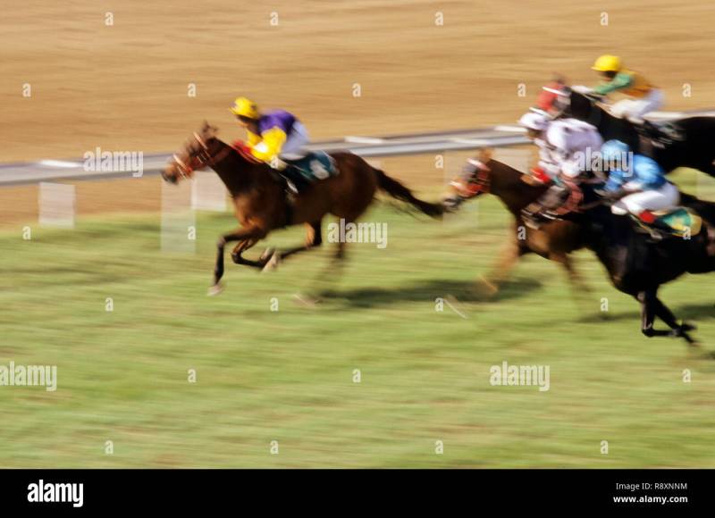 Get The Best Odds On Indian Horse Racing With Racebets India