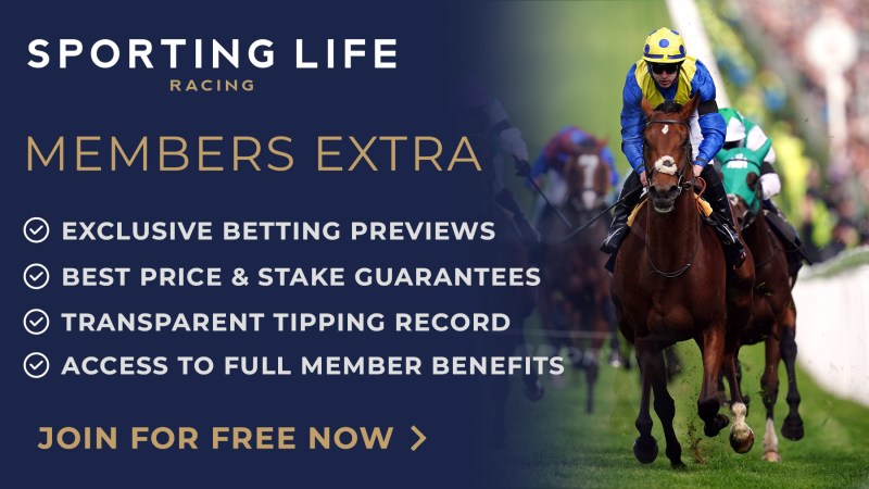 Get The Latest Horse Racing Betting Tips At Racebets India