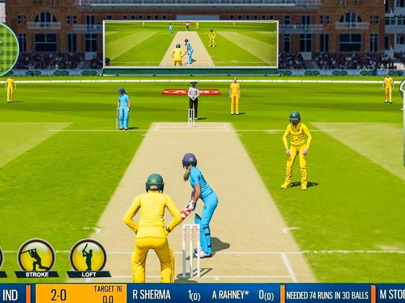 Gully Cricket Mod Apk