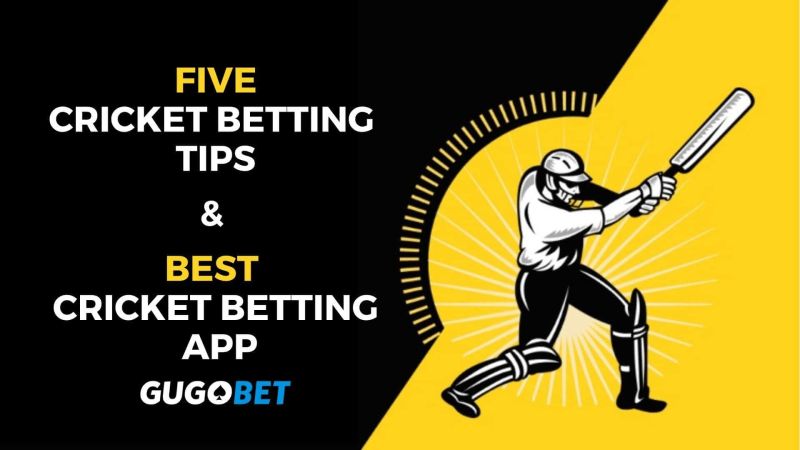 How To Analyze A Cricket Bet