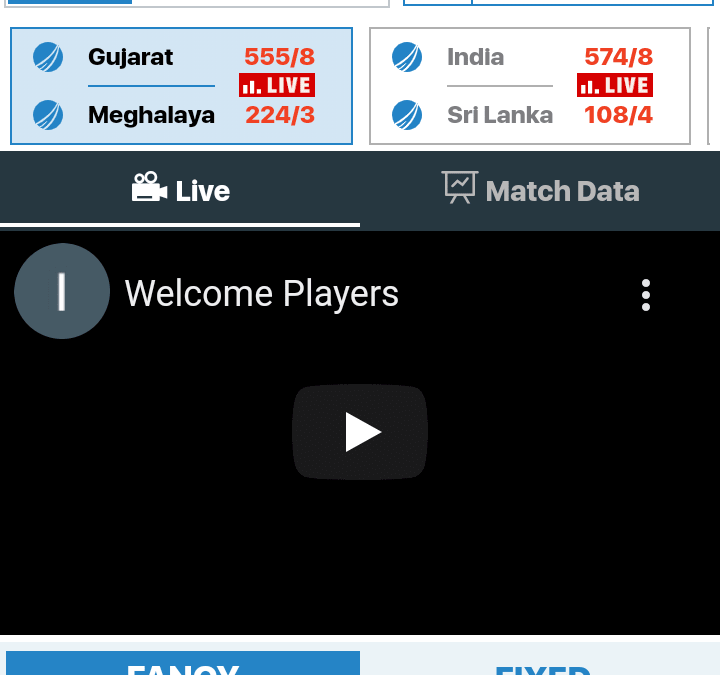 Indibet: The Ultimate Casino Destination For Indian Gaming Enthusiasts