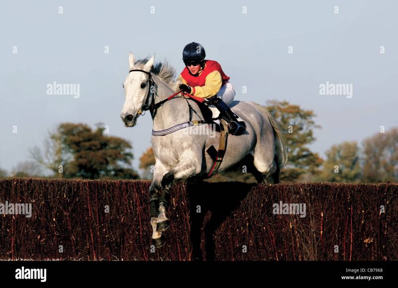 Join Racebets And Bet On Indian Horse Racing Today