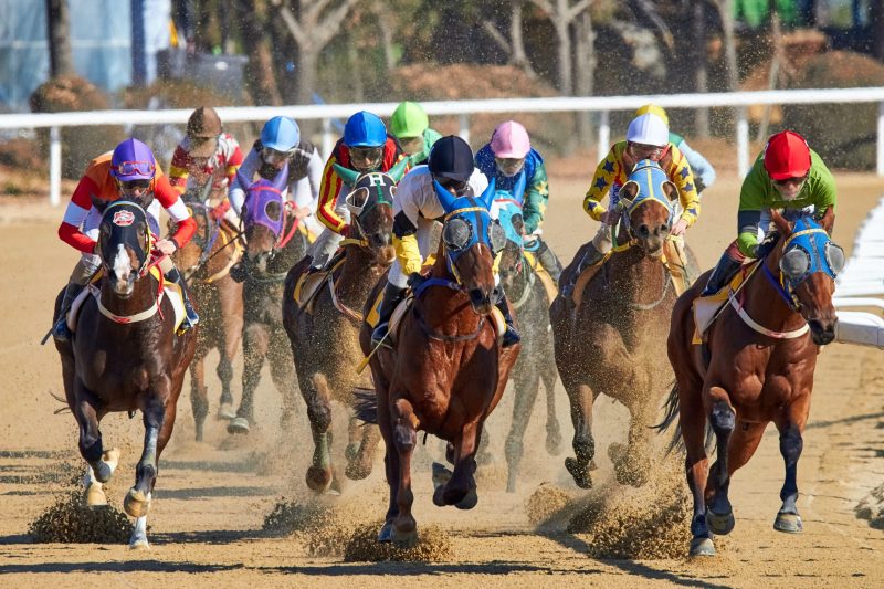 Join Racebets And Get The Best Horse Racing Betting Experience