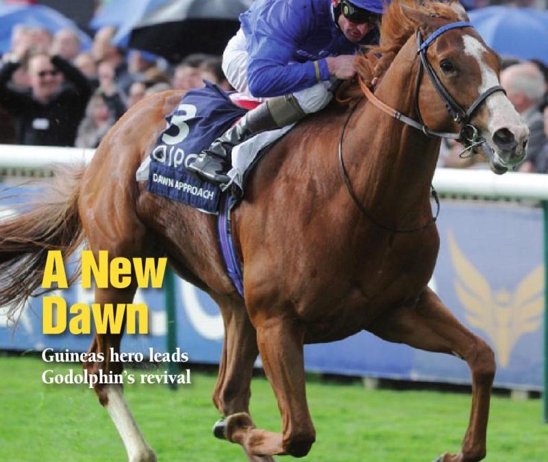 Join Racebets And Get The Best Horse Racing Betting Tips