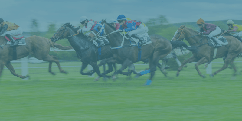 Join Racebets India And Bet On Horse Racing With Ease